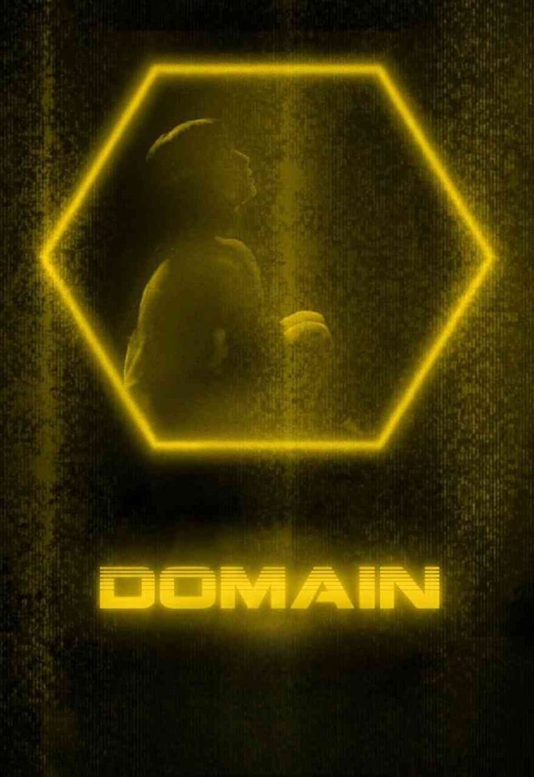 Domain 2017 MoviesBrave
