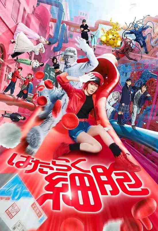Download Cells at Work 2024 MoviesBrave