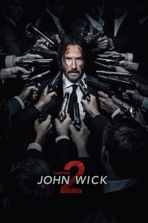 Download John Wick Chapter 2 2017 MoviesMod